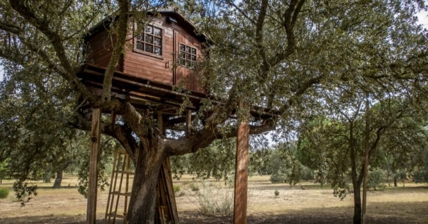 5 Reasons Why Tree House Rentals Are Excellent for Vacations