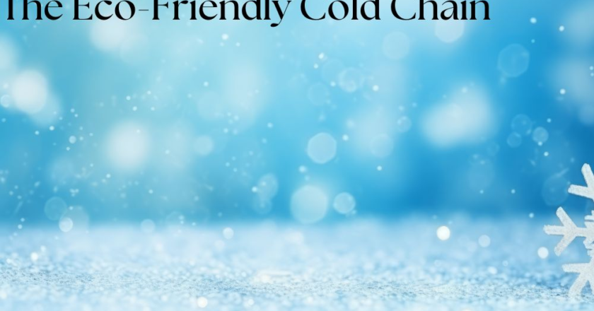 Sustainable Cold Chain Solutions: Eco-Friendly Temperature Control Guide