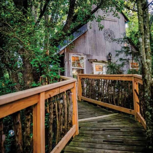 Fire Safety and Outdoor Recreation: Two Sides of Responsible Land Management