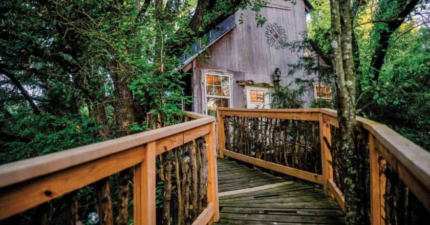 Fire Safety and Outdoor Recreation: Two Sides of Responsible Land Management